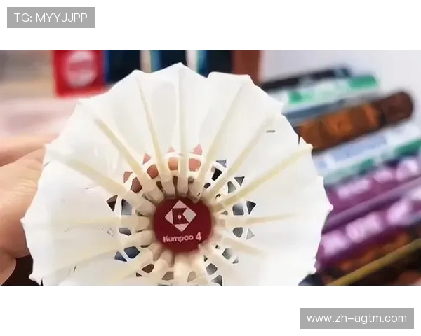 羽毛球俱乐部用球推荐