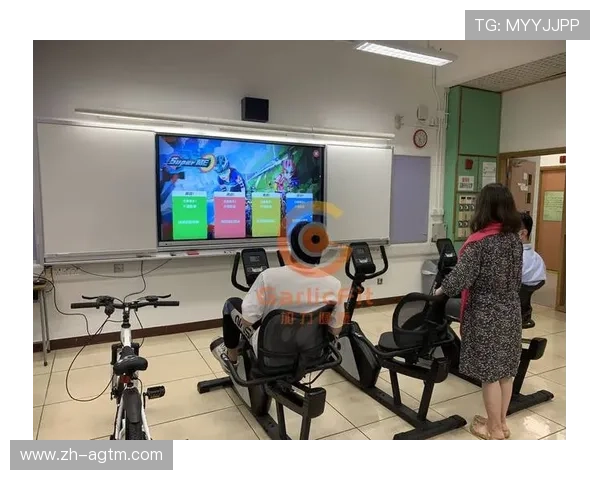 颐年健康守护者——适老化运动设备全解析 颐年健康守护者——适老化运动设备全解析