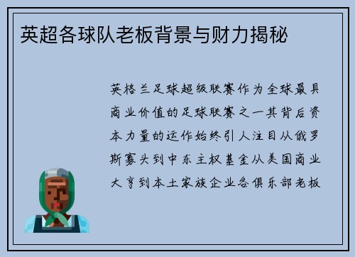 英超各球队老板背景与财力揭秘