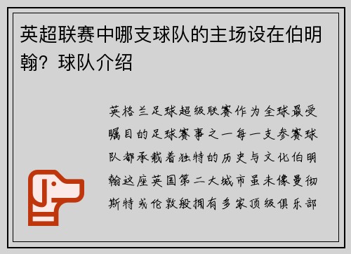 英超联赛中哪支球队的主场设在伯明翰？球队介绍