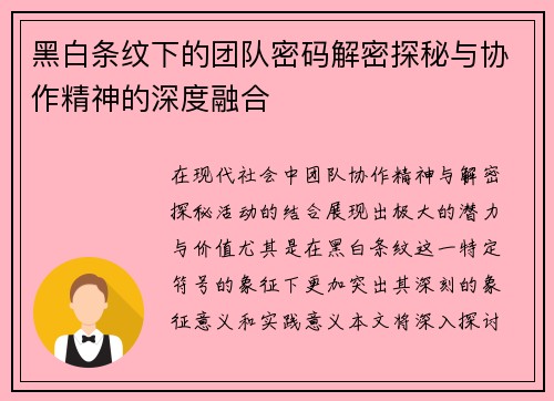 黑白条纹下的团队密码解密探秘与协作精神的深度融合